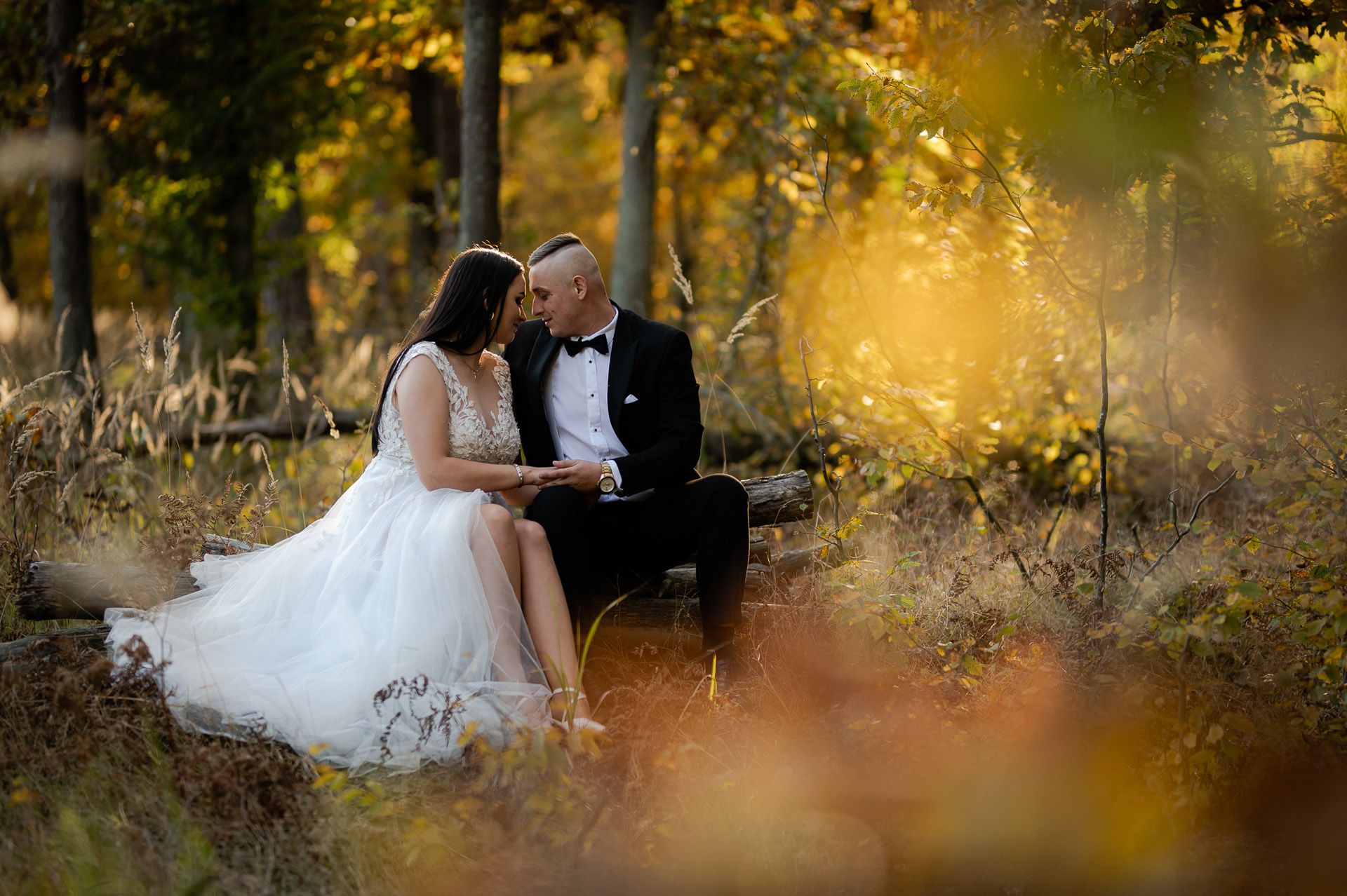 Jesienne zdjęcia ślubne pary młodej w złotym świetle - para siedzi na pniu drzewa wśród jesiennych liści, panna młoda w tiulowej sukni z koronkową górą, pan młody we fraku z muszką